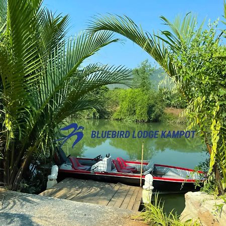 Bluebird Lodge Kampot Bagian luar foto