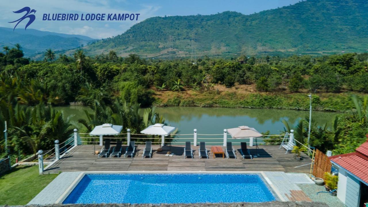 Bluebird Lodge Kampot Bagian luar foto