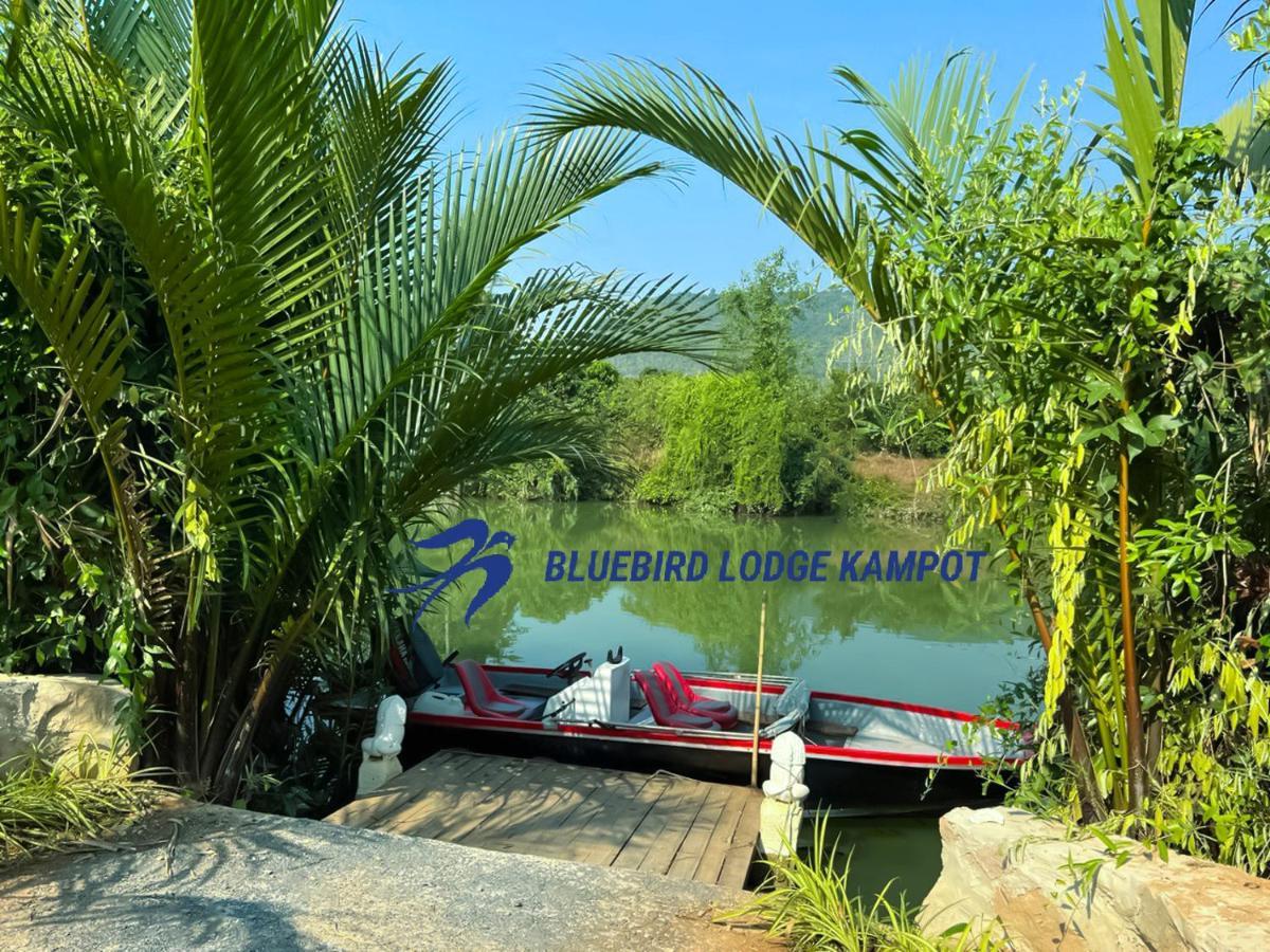 Bluebird Lodge Kampot Bagian luar foto