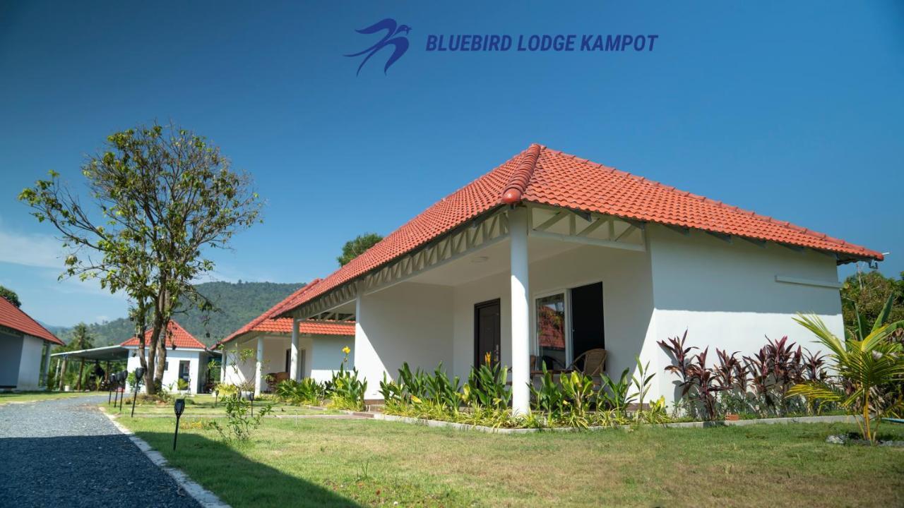 Bluebird Lodge Kampot Bagian luar foto