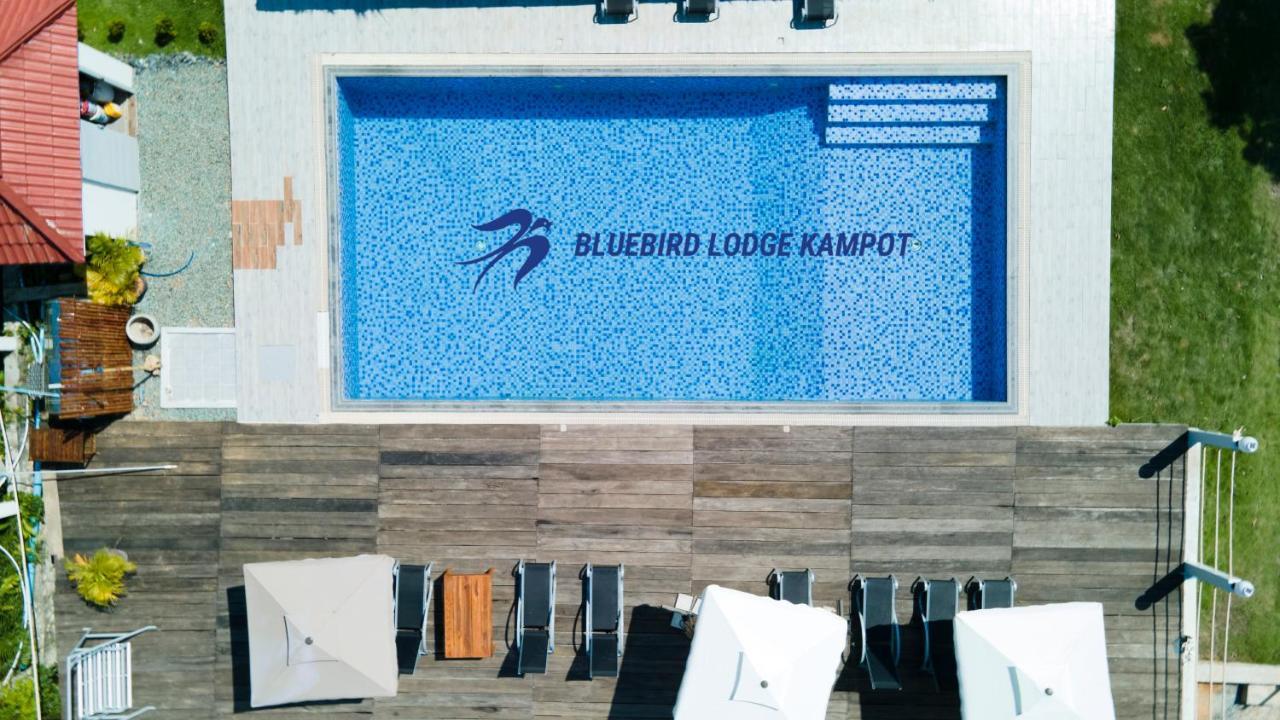 Bluebird Lodge Kampot Bagian luar foto