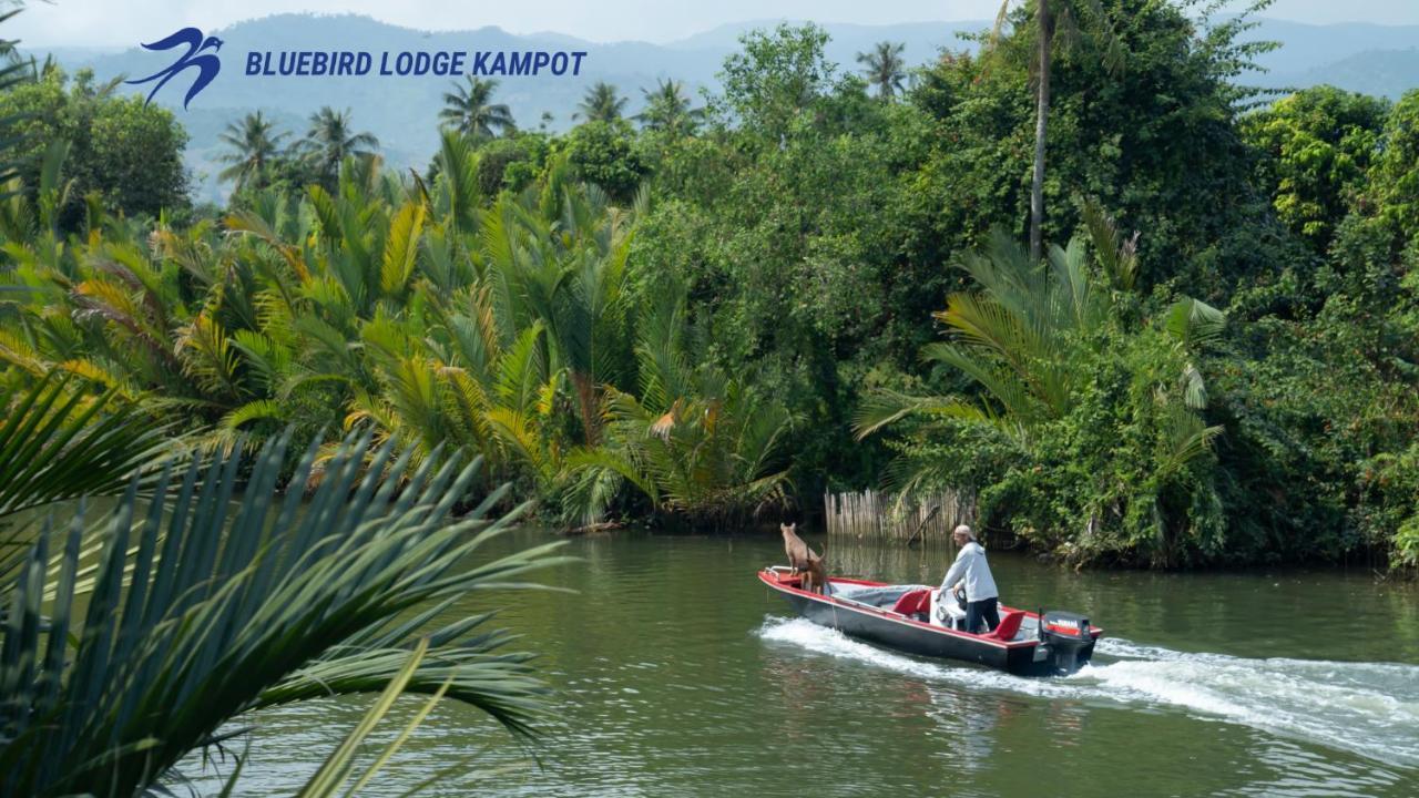 Bluebird Lodge Kampot Bagian luar foto