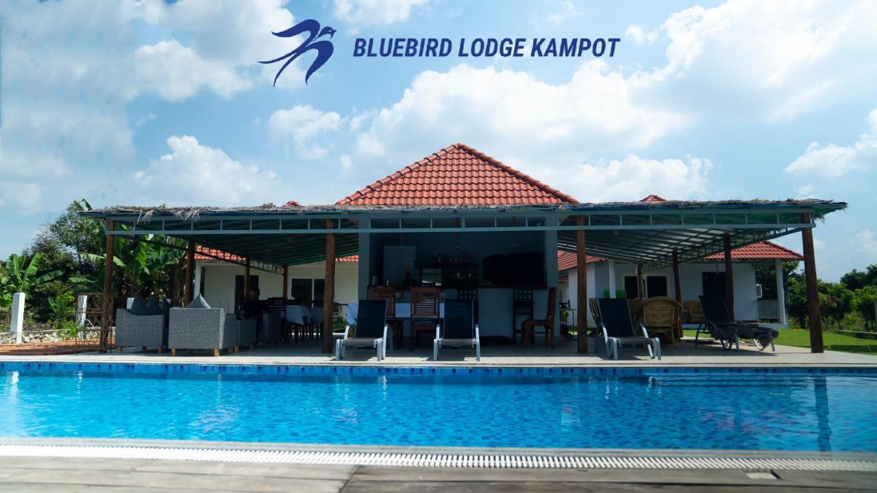 Bluebird Lodge Kampot Bagian luar foto