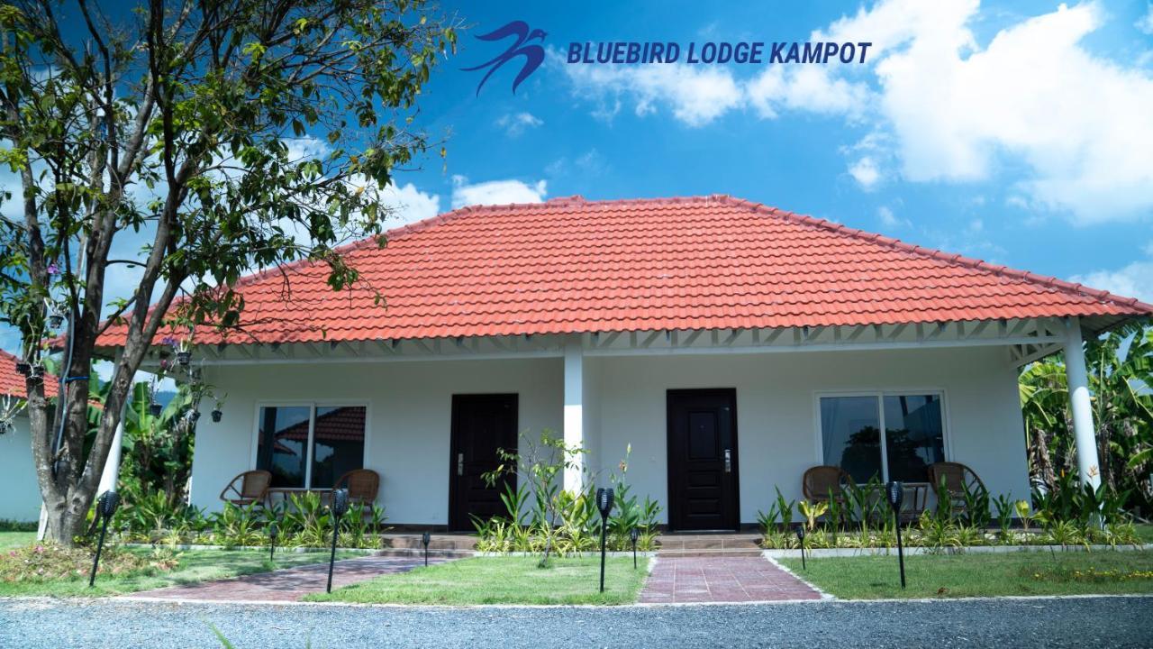Bluebird Lodge Kampot Bagian luar foto